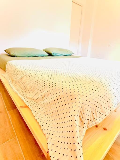Nuovo Appartamento A Due Passi Dal Centro 都灵 外观 照片